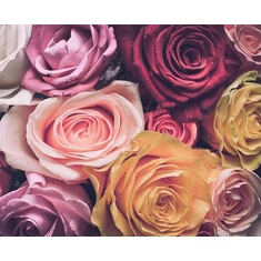 Születésnapi ajándékcsomagok