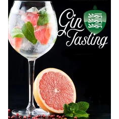 Gin Kóstolók, Gin Tonik workshopok