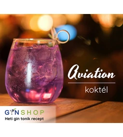 Gyönyörű, gines és nagyon lila, mi az? - Készítsd el Te is az Aviation koktélt!