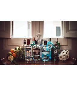 Gin fajták