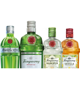 9 dolog, amit tudnod kell a Tanqueray Ginről