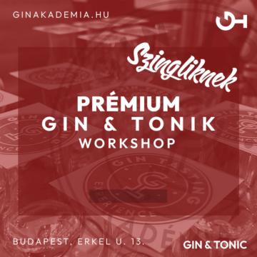 Ismerkedős est Szingliknek Gin Tonik Workshoppal Október 6.