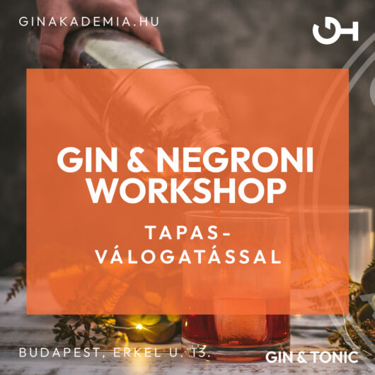 Ginkóstoló & Negroni workshop tapas válogatással Július 6.