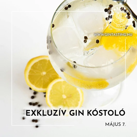 Exkluzív gin kóstoló május 8.
