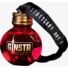 Kép 3/3 - GINSTR Dry Gin szett 5 x 0,05l dd. 44%