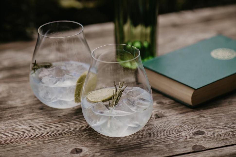 a_finom_gin_tonic_titka_csapatepito_gintasting